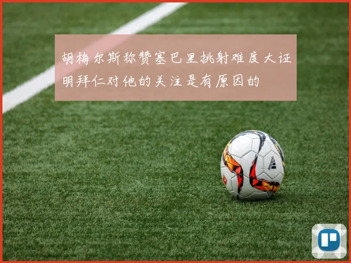胡梅尔斯称赞塞巴里挑射难度大证明拜仁对他的关注是有原因的