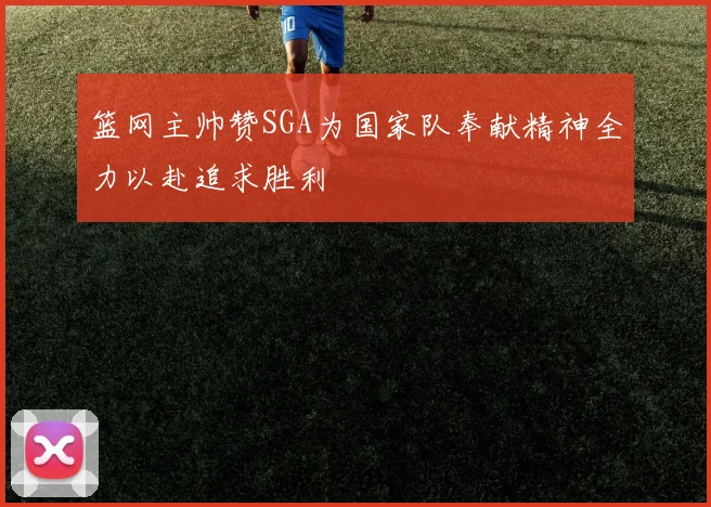 篮网主帅赞SGA为国家队奉献精神全力以赴追求胜利